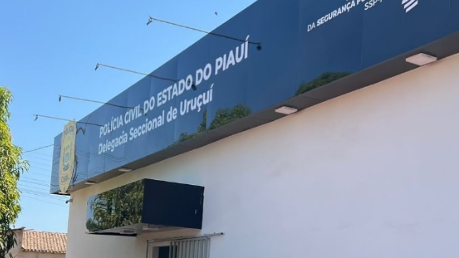 Avó que denunciou familiares por suposto estupro de criança de 5 anos é indiciada por denunciação caluniosa no PI