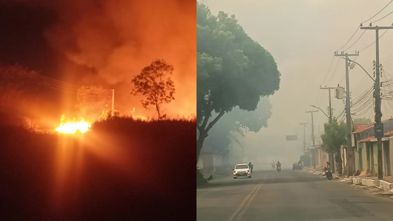 Incêndio atinge área da Embrapa há mais de 15 horas e chega ao Jardim Botânico de Teresina