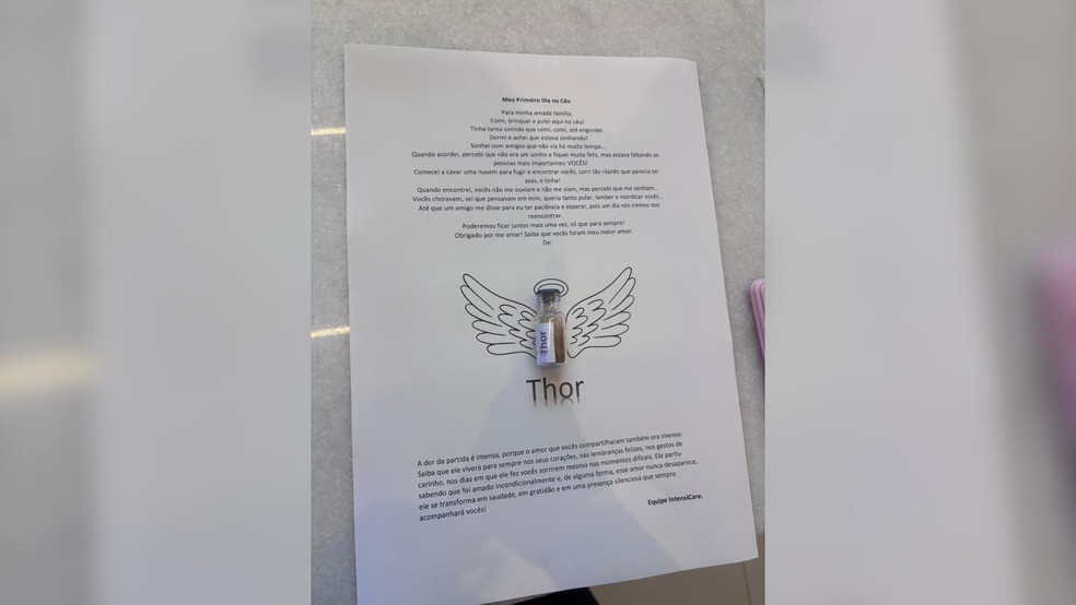 Lembrança é personalizada com característica de cada animal e entregue pela clínica veterinária de São José do Rio Preto (SP) — Foto: Arquivo pessoal