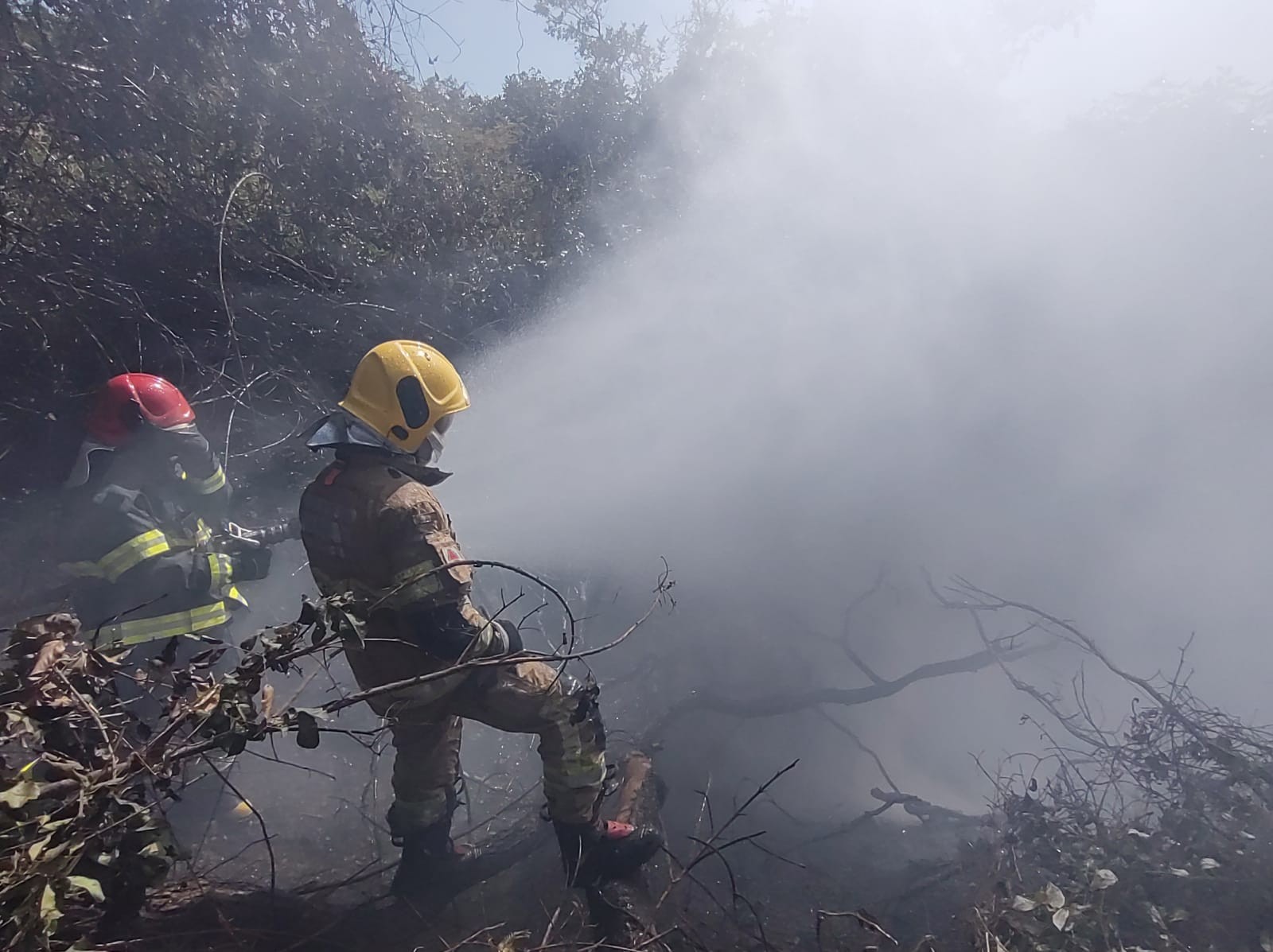 Motorista morre carbonizado em acidente na BR-251