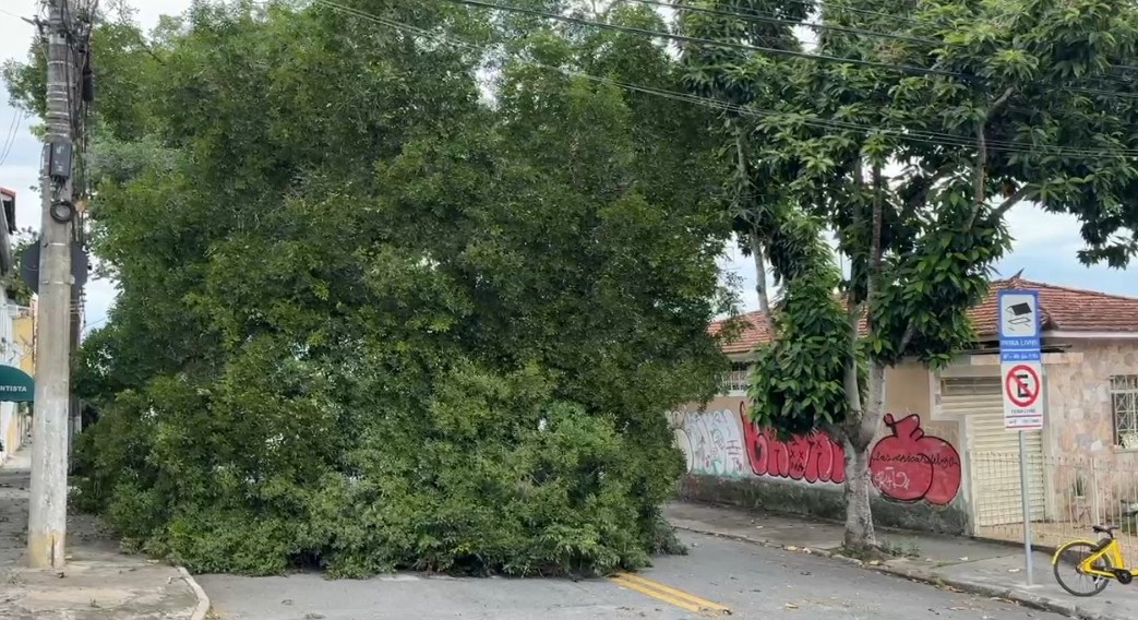 Chuva forte derruba árvore, muro de condomínio e causa alagamentos, em São José dos Campos