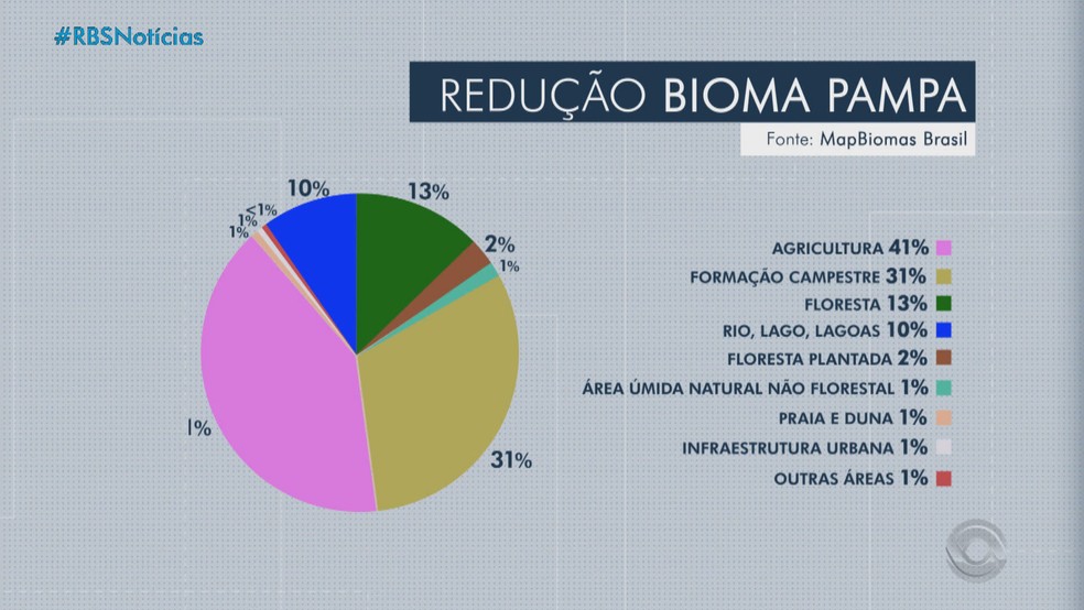 Como o aumento do desmatamento e a diminuição do bioma Pampa afetam o clima  do RS e a saúde das pessoas