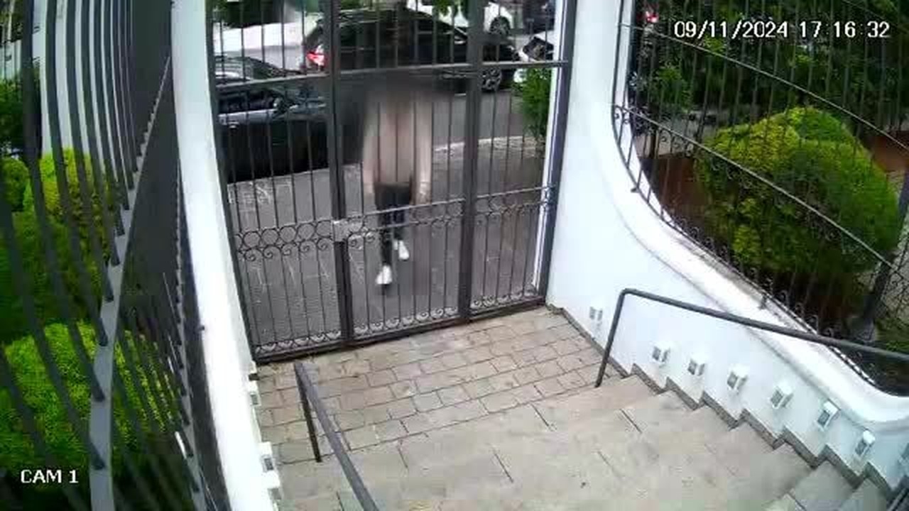 Ladrão de condomínio: como agia adolescente que invadia apartamentos luxuosos