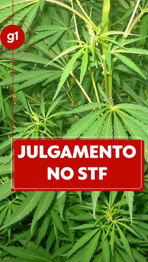 Maconha: entenda as regras em outros países