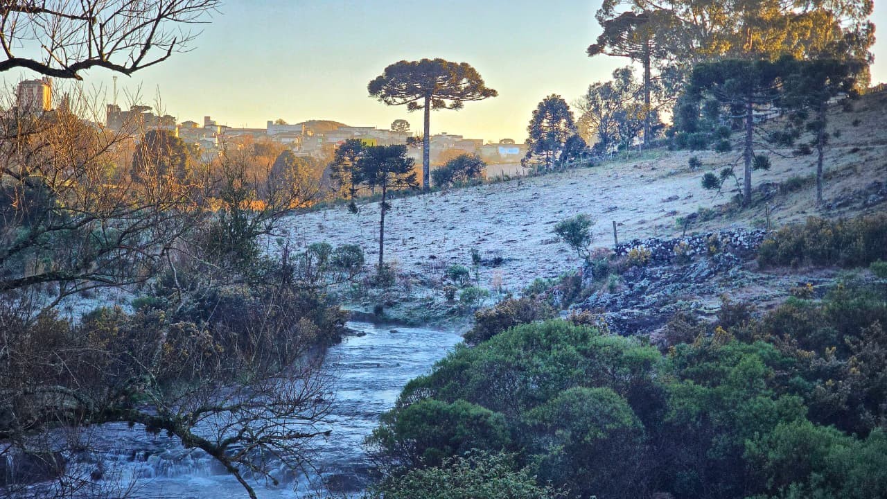 Com mínima de -4,5°C, SC volta a registrar campos cobertos por geada dias antes do fim do inverno