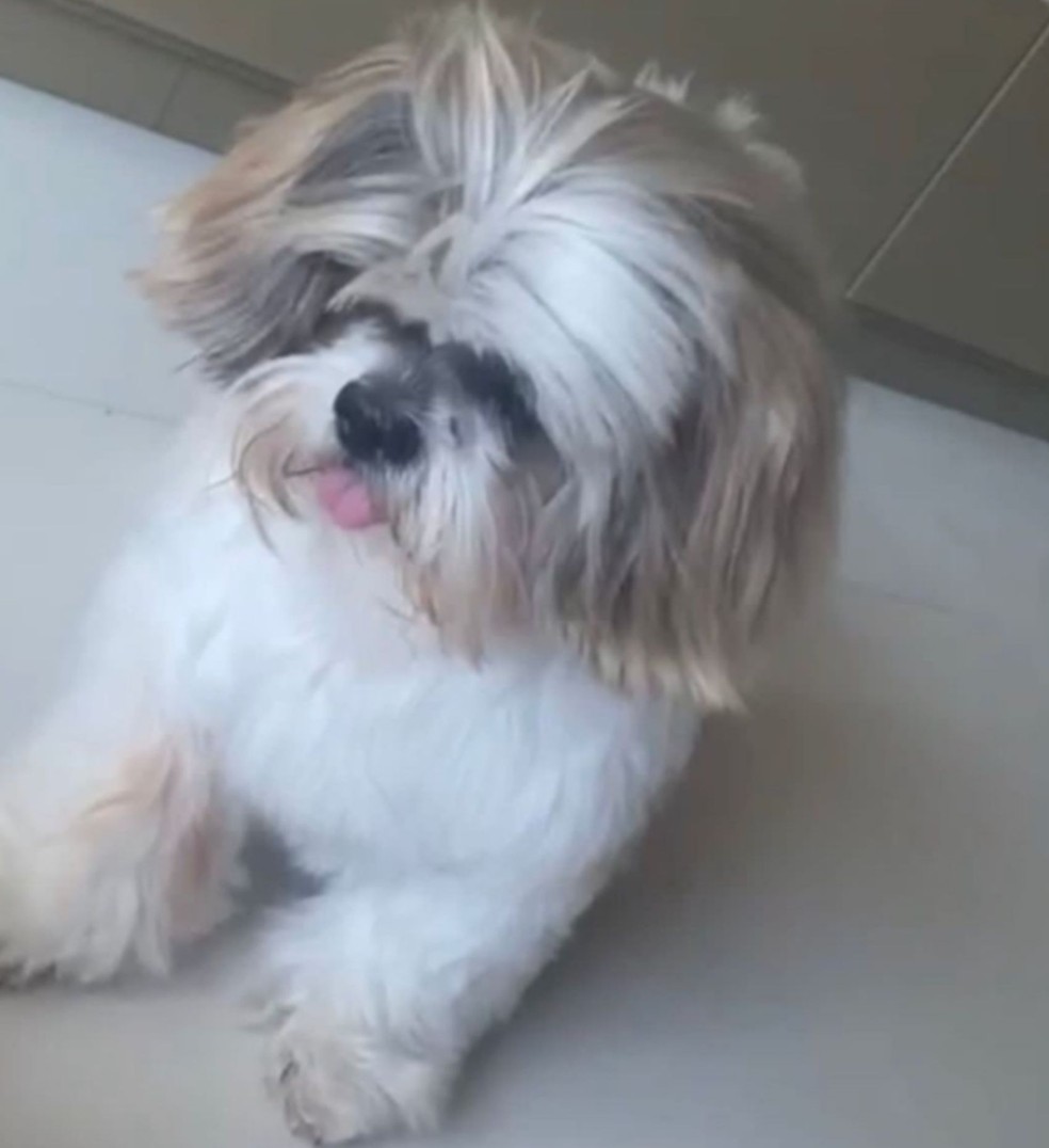 Lupe morreu após ser atacado em hotelzinho na cidade de Aracaju — Foto: Arquivo Pessoal