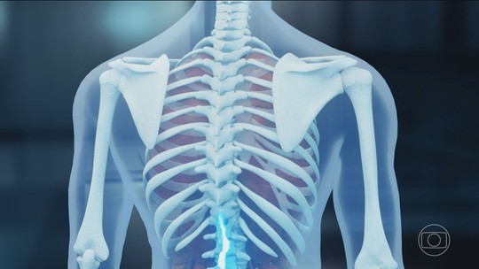 Do freezer para a medula: como funciona e quais as vantagens de proteína que pode revolucionar o tratamento de vítimas de lesões - 
Pesquisadores da UFRJ testam proteína capaz de reduzir rejeição e custos no tratamento de lesões medulares. Anvisa alerta que ainda não há autorização para uso em humanos e cobra dados de segurança antes da próxima fase.