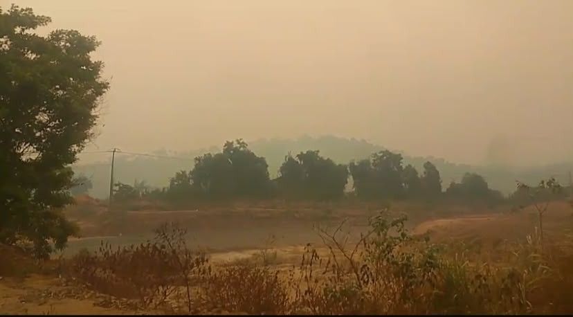 VÍDEO: incêndio em vegetação em frente à escola força dispensa de alunos no Chapadão, em Santarém