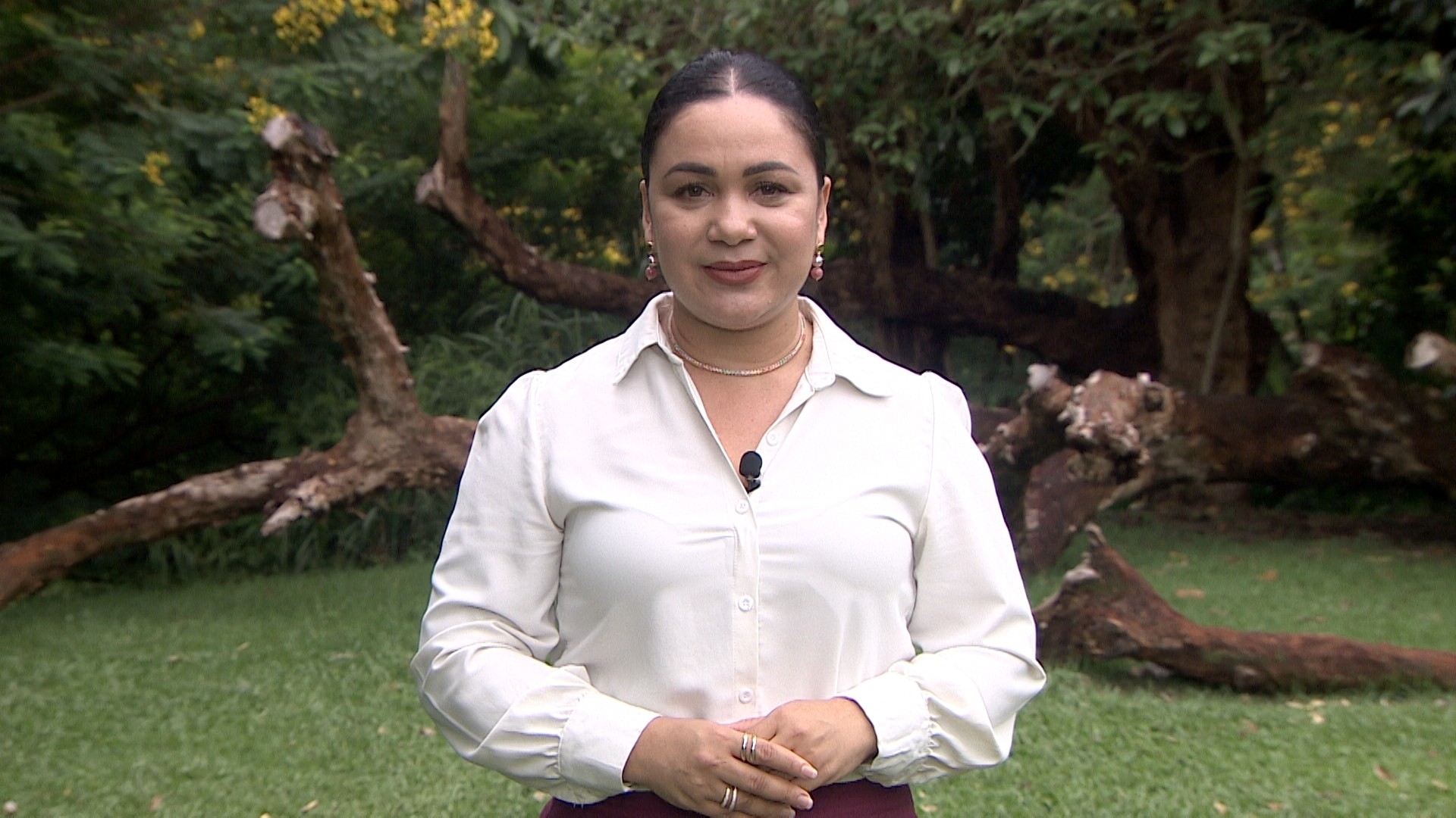 Assista ao Amazônia Agro (Amazonas) deste domingo, 26 de abril de 2026