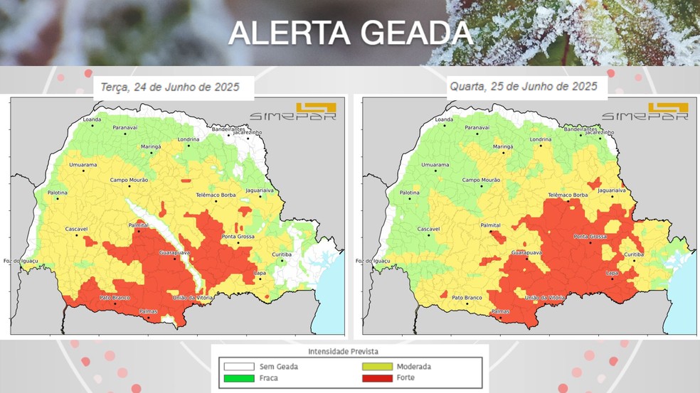 Simepar alerta para geadas no Paraná — Foto: Reprodução/Simepar