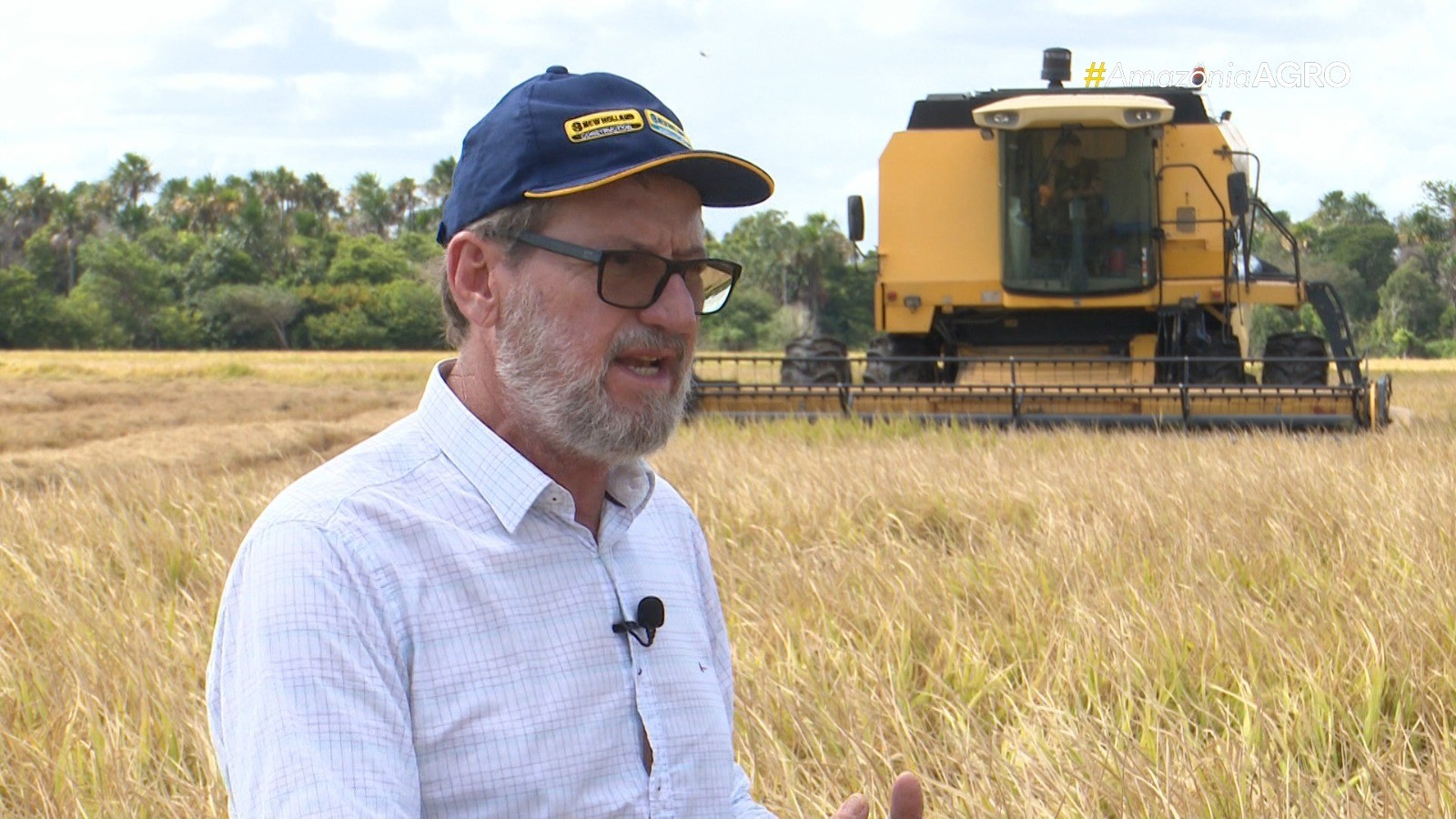 Clima ajuda e produção de arroz deve ultrapassar 100 mil toneladas em Roraima