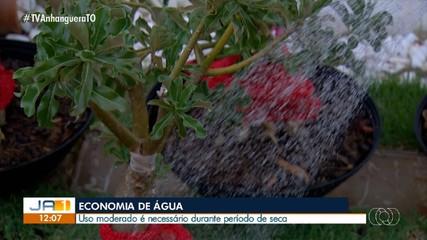 Veja as dicas para o uso consciente de água