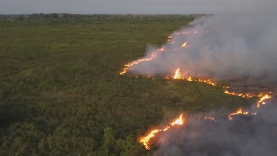 Risco de incêndio 'subterrâneo' mantém força-tarefa no Pantanal - Foto: (Jornal Nacional/ Reprodução)
