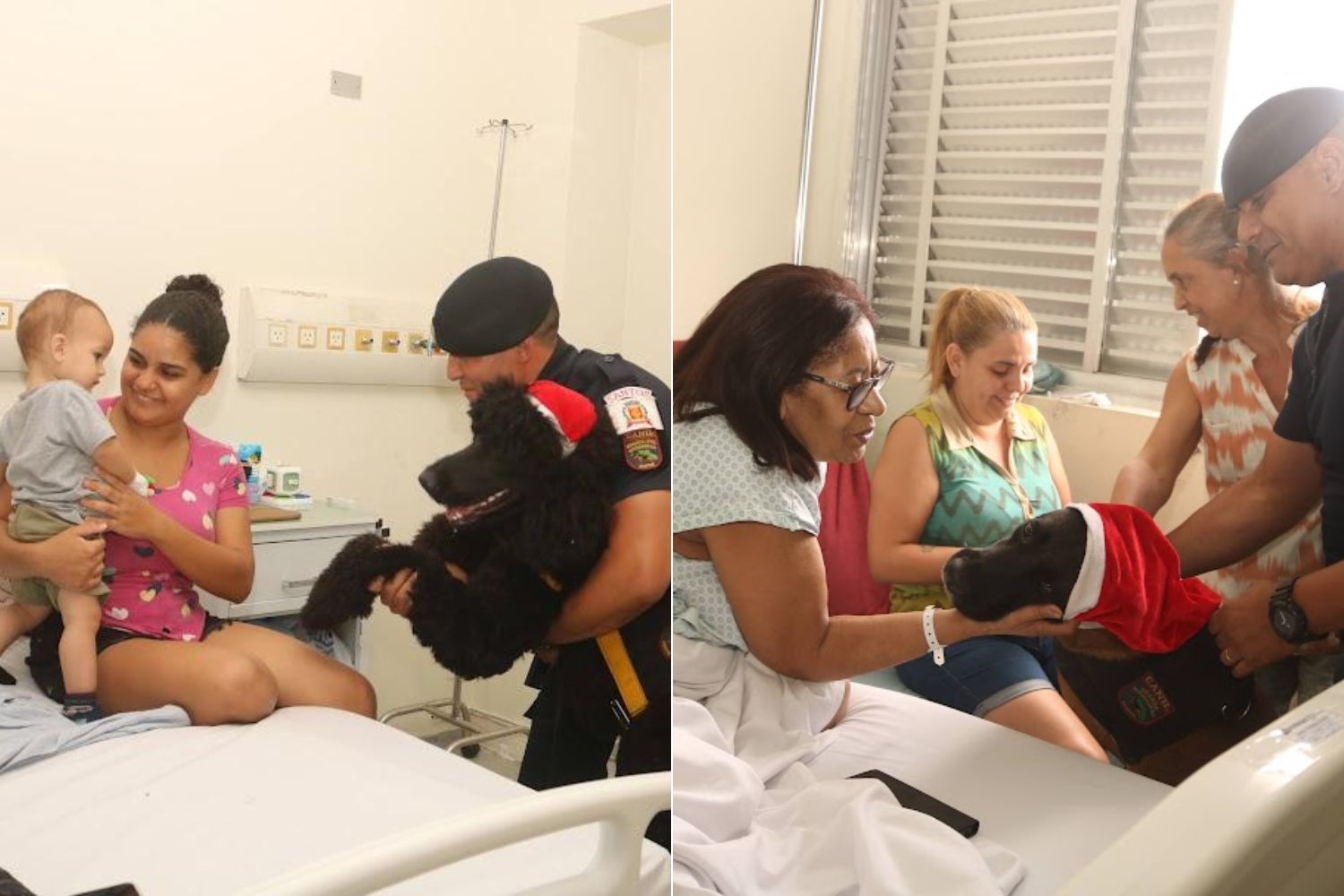 Cães terapeutas vestidos de Noel visitam pacientes em hospital do litoral de SP