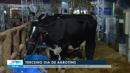Animais fazem sucesso na Agrotins 2024