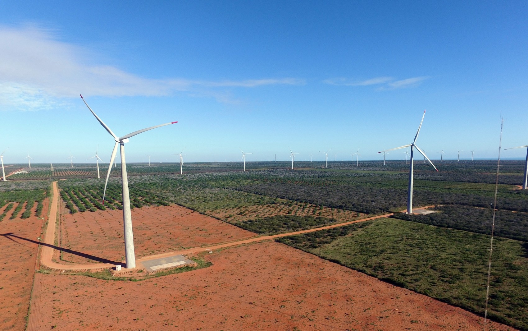 Perda de produção, distúrbio do sono, ansiedade: produtores rurais no RN processam empresa de energia eólica
