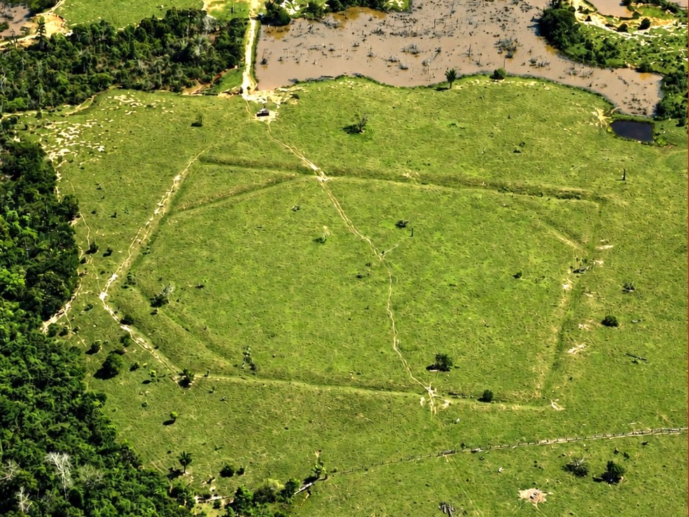 Geoglifos são grandes construções feitas com valas e estruturas de terra — Foto: Arquivo/Altino Machado