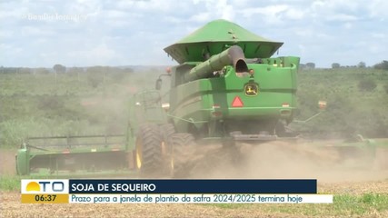 Prazo para janela de plantio da soja termina nesta quarta-feira (15)