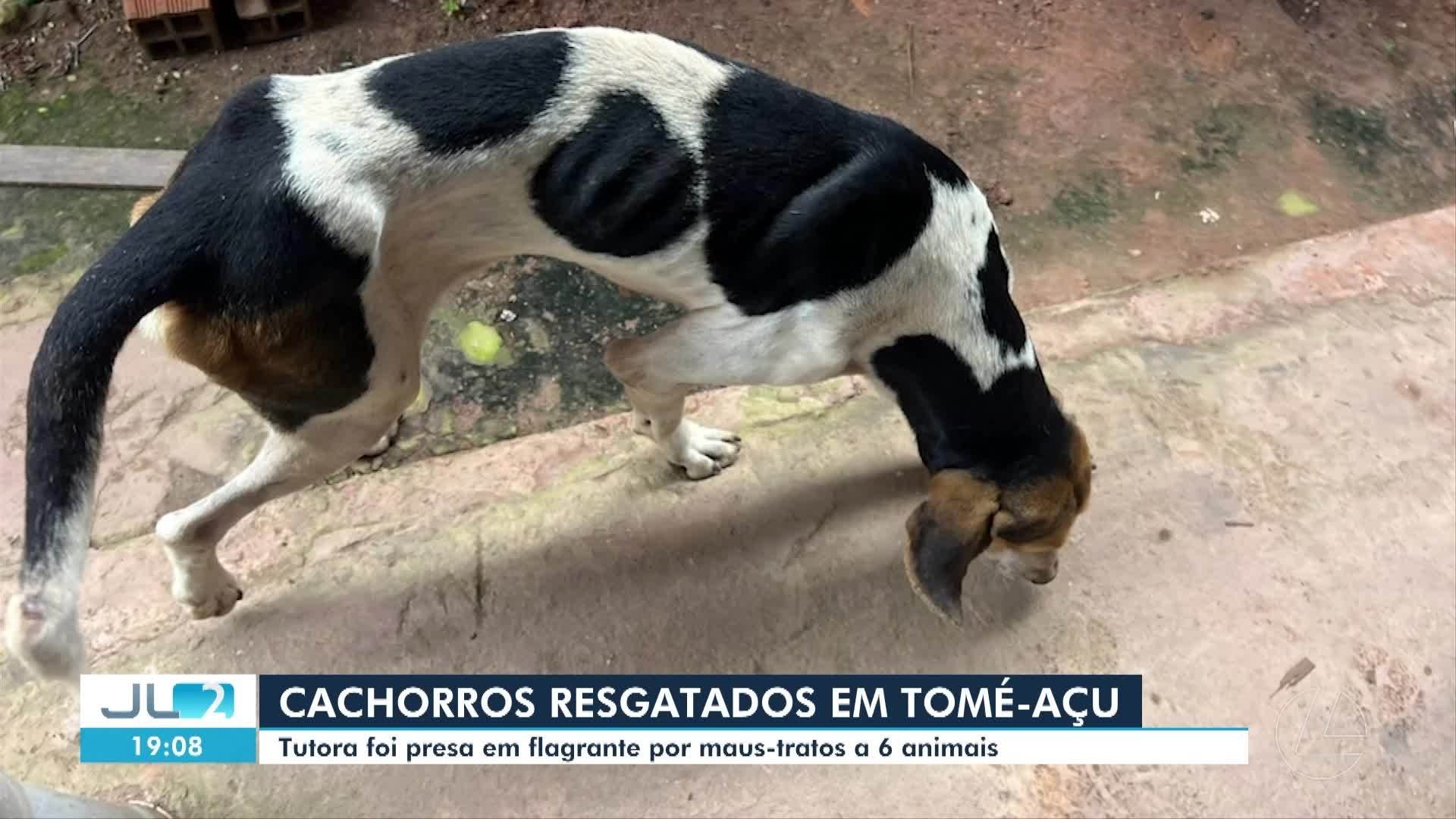 VÍDEOS: Jornal Liberal 2ª Edição de quarta-feira, 1º de abril de 2026