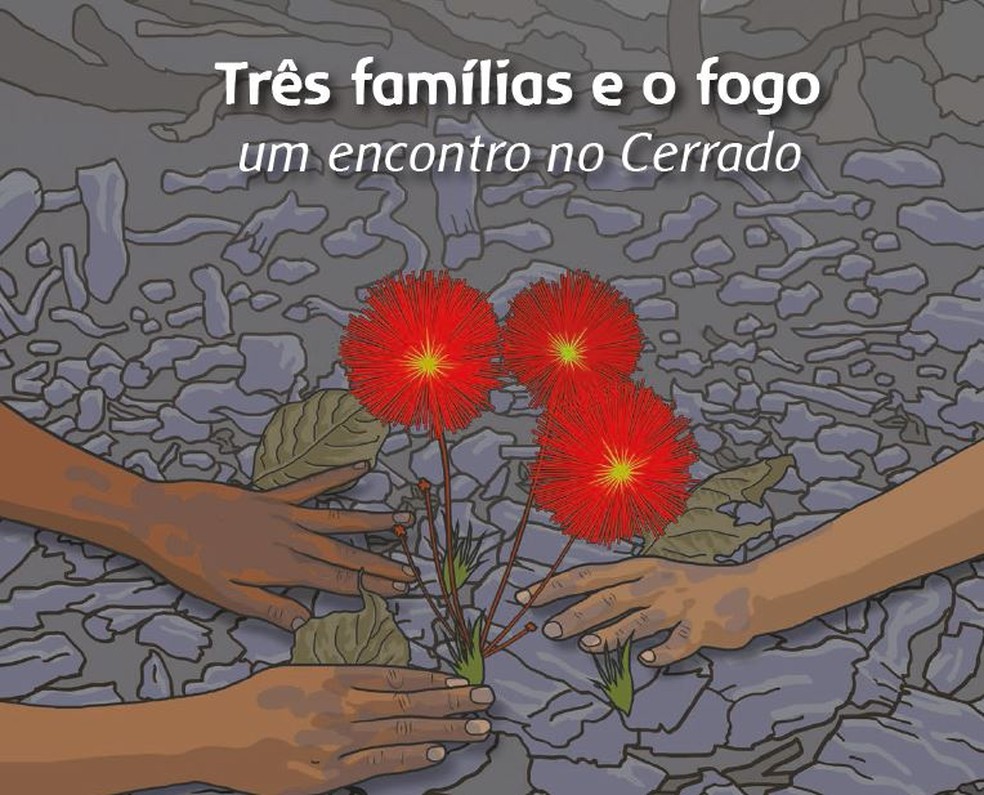 Embrapa lança jogo infantil sobre educação ambiental - Revista Globo Rural