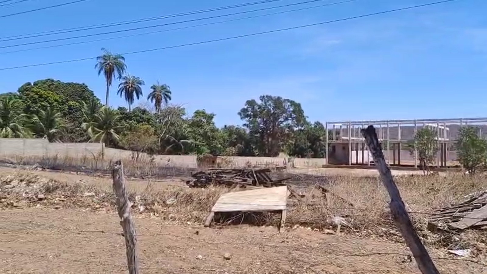 Homem foge de ataque de abelhas e morre atropelado em estrada no Ceará