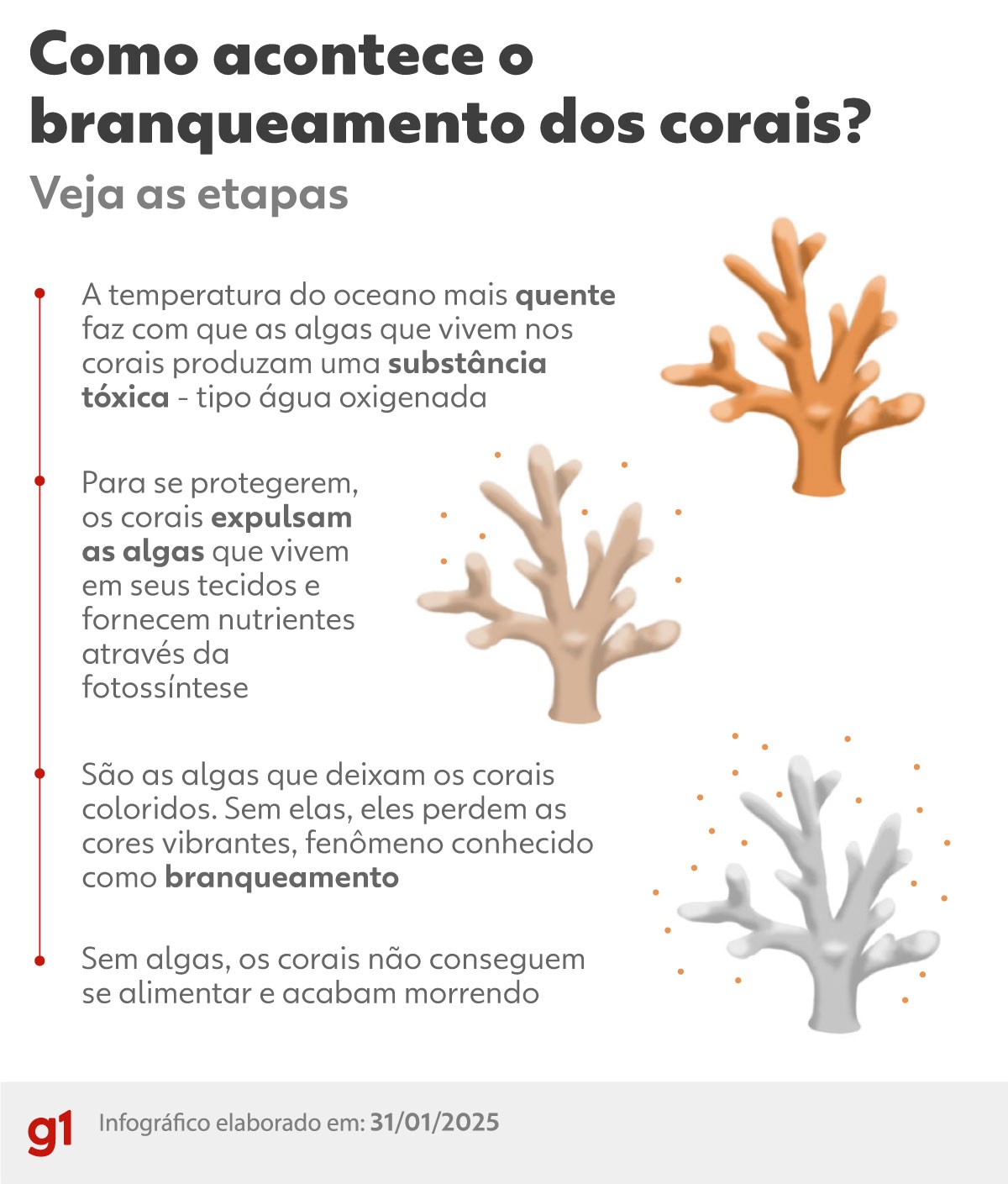 Você Não Tá Convidada pro Meu Bat Mitzvá!