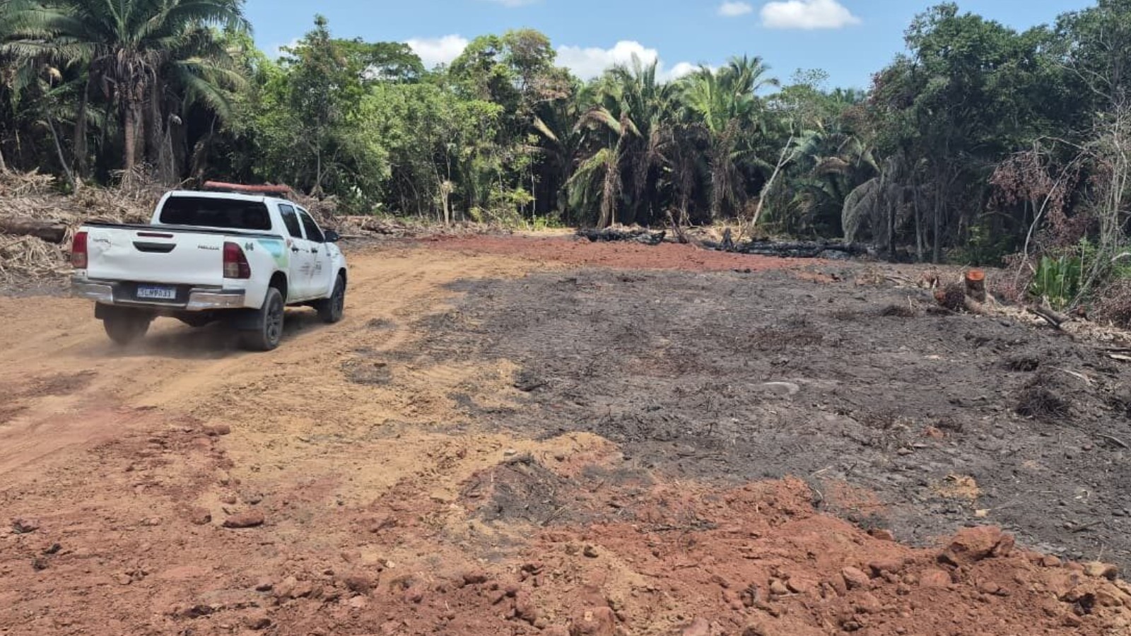 Denúncia anônima leva fiscais a área de desmatamento ilegal nas margens de riacho em Teresina 