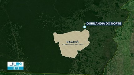 Operação retira garimpeiros e combate crimes ambientais na Terra Indígena Kayapó, no Pará