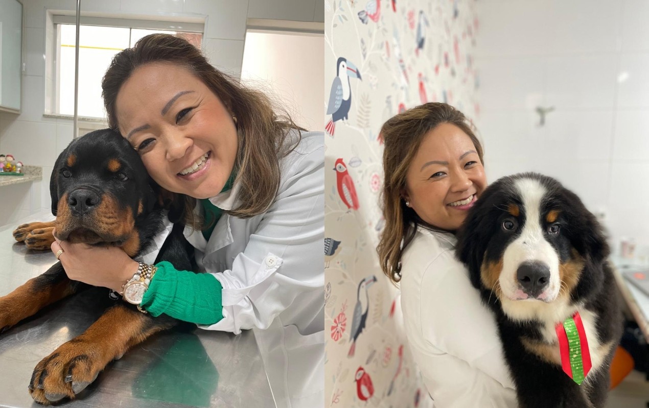 Ataque de cão: veterinária explica como agir e o que fazer para se proteger