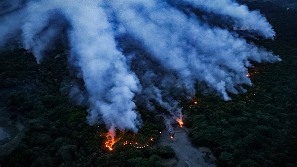 Área afetada por incêndios no Município de Itacoatiara — Foto: Liam Cavalcante/Rede Amazônica