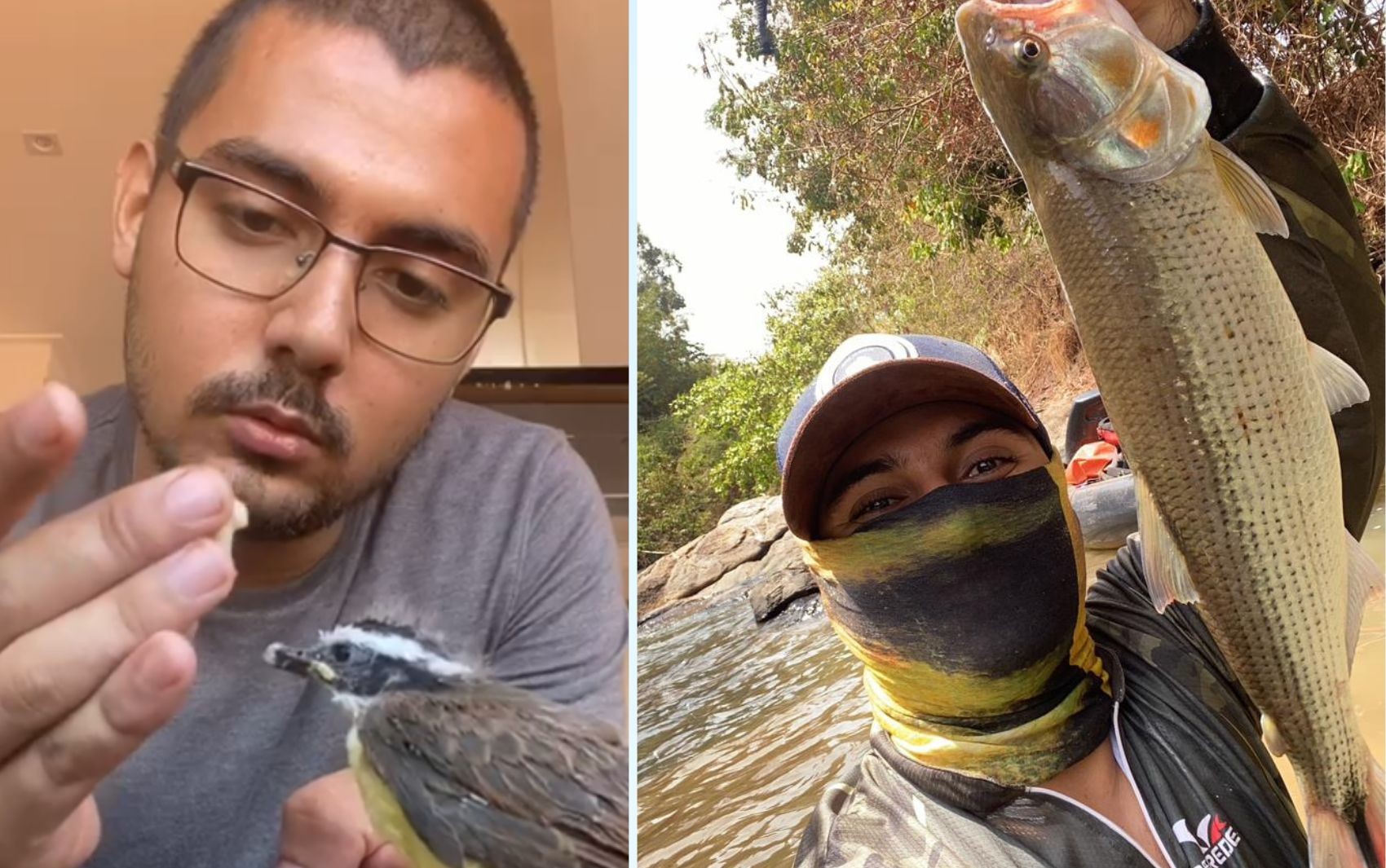 'Zé Mateiro': saiba quem é o ambientalista que parou em rodovia e pegou cobra com as mãos para salvá-la; vídeo