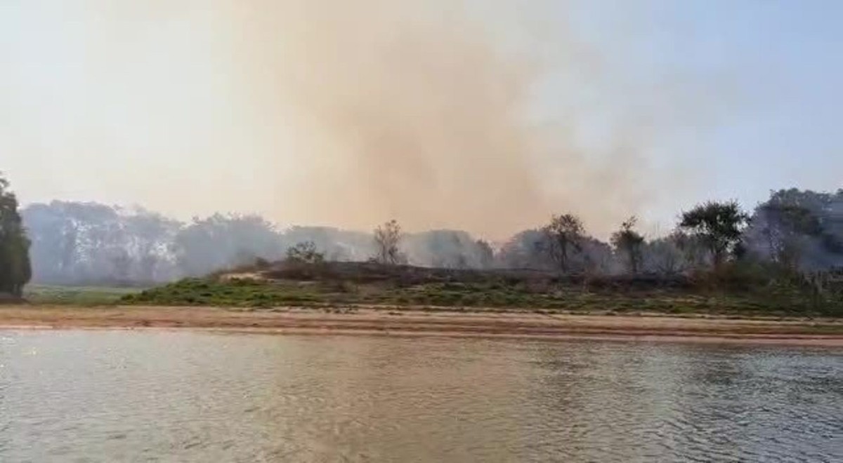 Escassez de água e fogo subterrâneo dificultam combate a incêndio no  Pantanal de MT perto da fronteira com a Bolívia, Mato Grosso