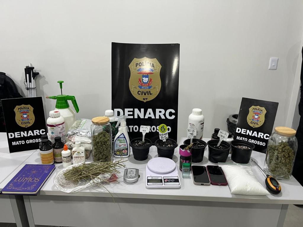 Casal e mais duas pessoas são presas por tráfico de drogas e polícia descobre estufa de maconha em MT