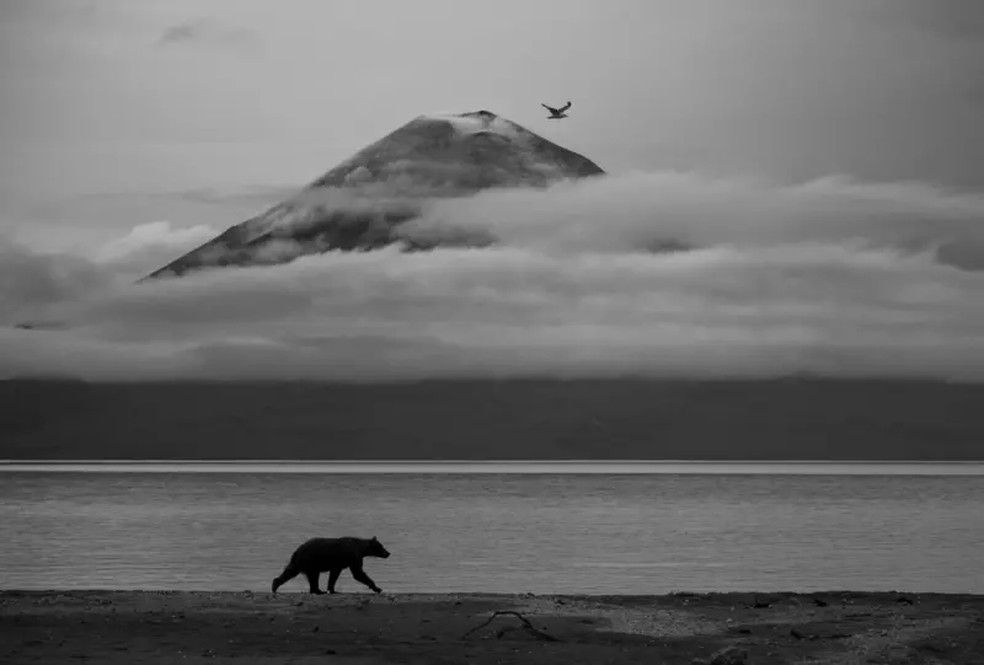 Essência de Kamchatka — Foto: Kesshav Vikram/BBC