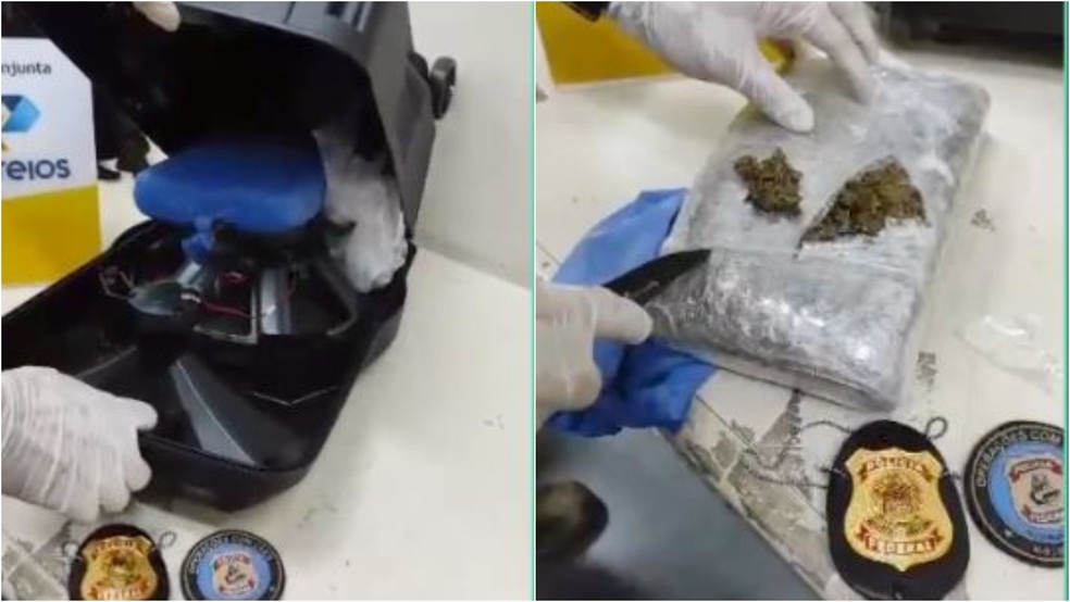 Maconha do tipo skunk é apreendida pela Polícia Federal dentro de caixa de som enviada pelos Correios. — Foto: Polícia Federal/ Divulgação