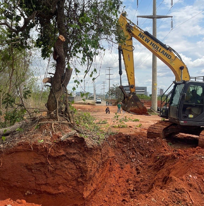 Prefeitura de Montes Claros preserva pequizeiros em obra de avenida