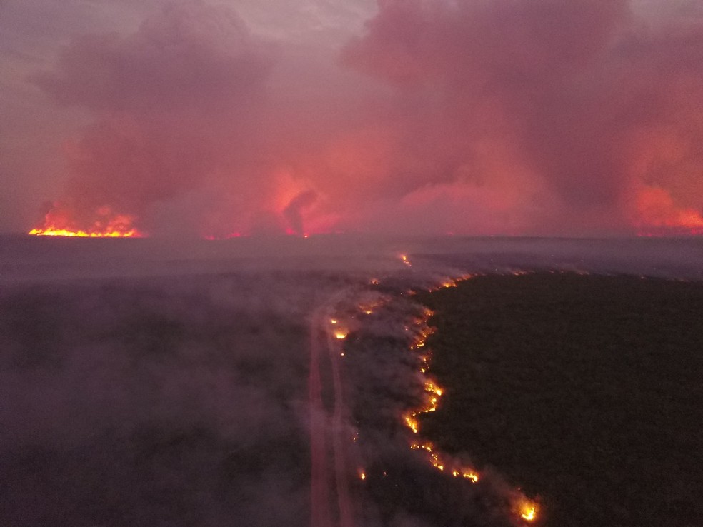 Fogo se espalha no Cerrado de MT — Foto: Divulgação