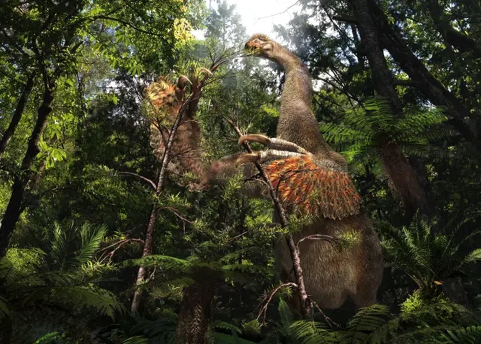 Duonychus tsogtbaatari teria capacidade de agarrar vegetação — Foto: Ilustração por Masato Hattori