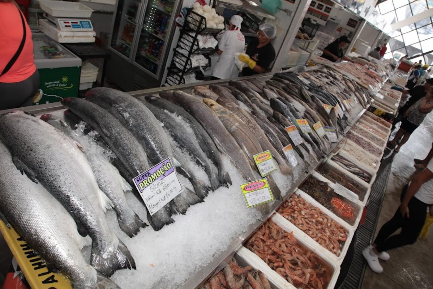 Mercado de Peixes realizará festival com sardinha a preço especial em Santos, SP