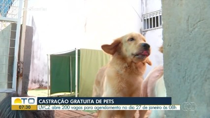 Agendamento para castração gratuita de cães e gatos abre nesta segunda-feira (27)