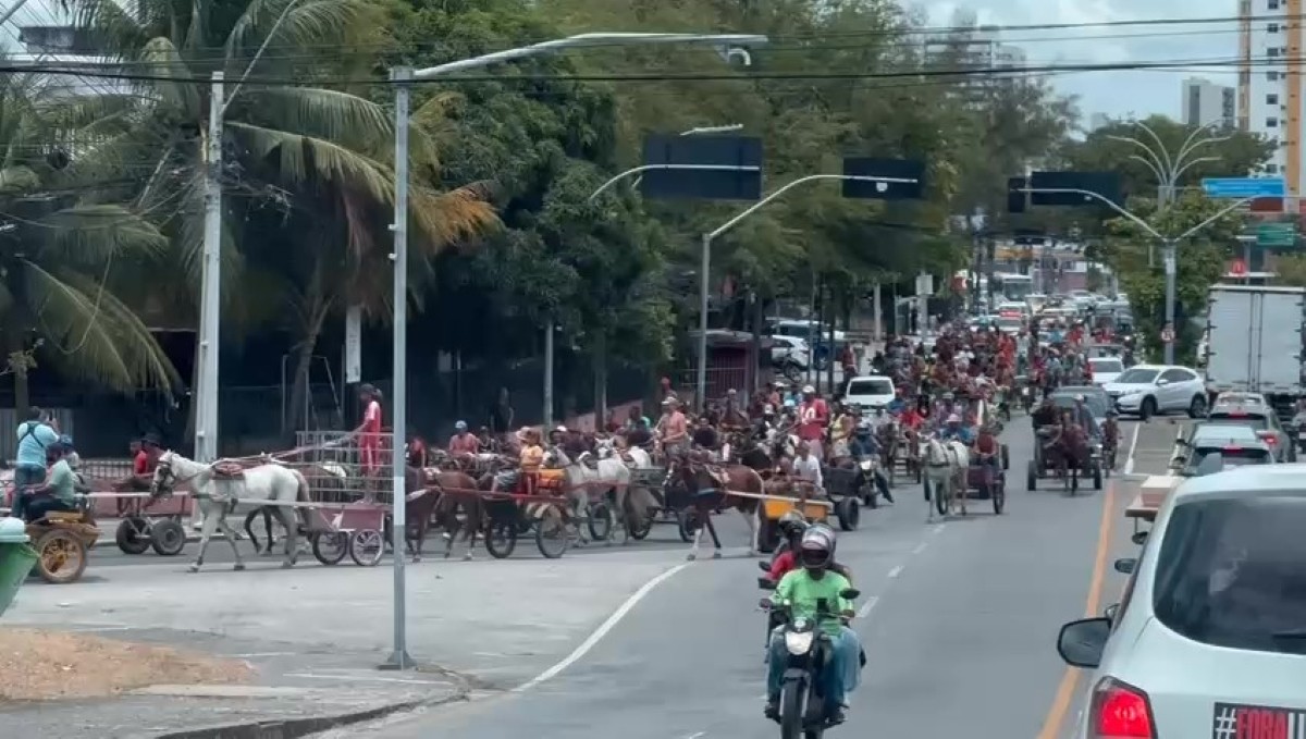 Carroceiros protestam contra retirada de veículos de tração animal no Recife; VÍDEO