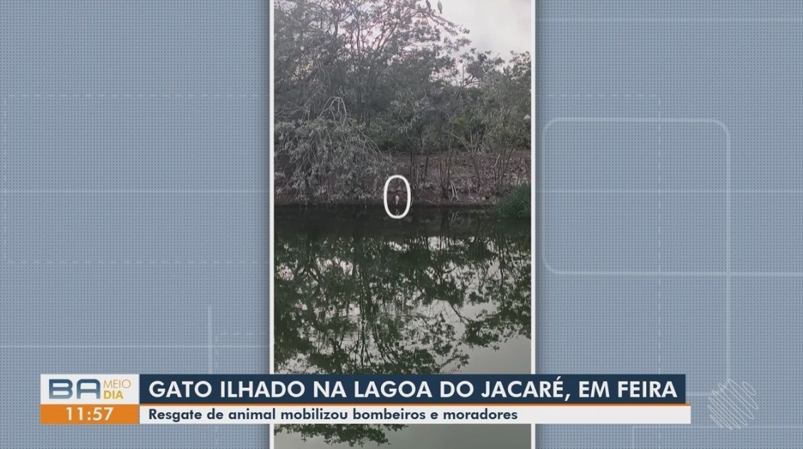 Vídeos do g1 e TV Subaé - terça-feira, 11 de agosto de 2026
