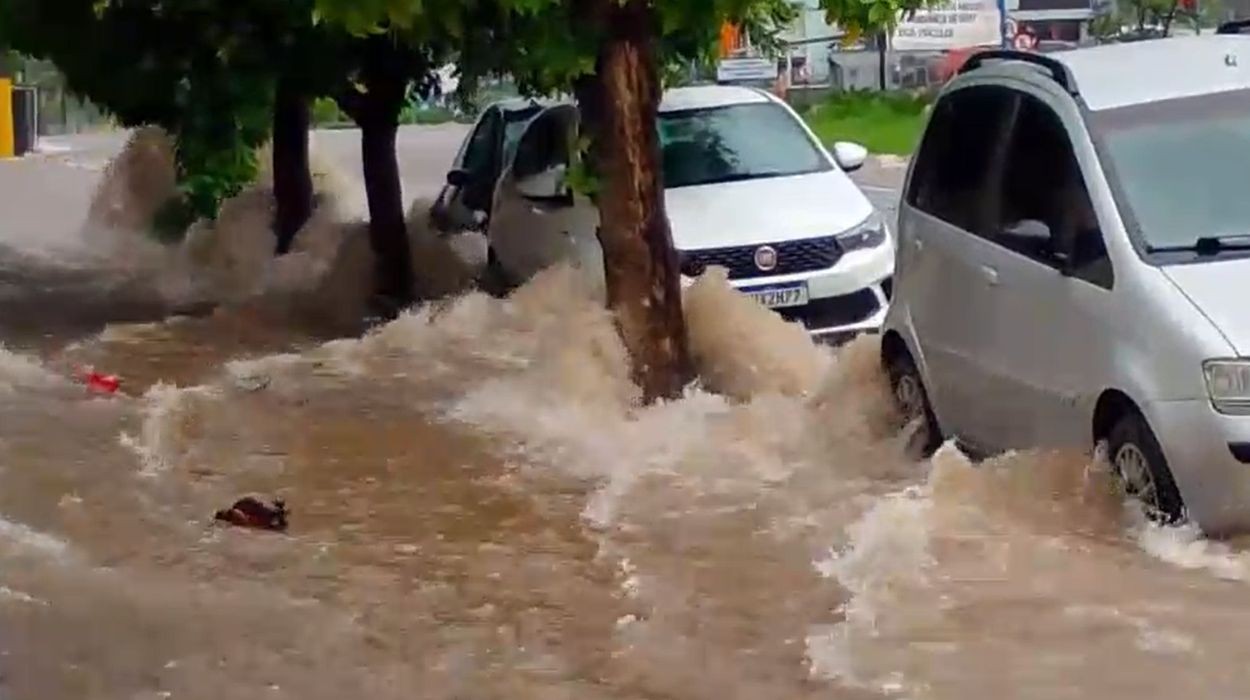 VÍDEO: Chuva forte provoca alagamentos, arrasta carro e derruba árvores em Matão