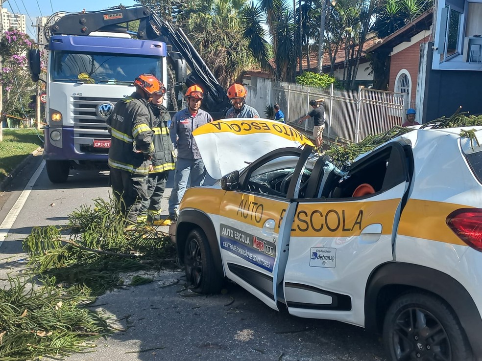 Jovem fica ferida após árvore cair e atingir carro de autoescola em São José dos Campos, SP — Foto: José Eymard/TV Vanguarda