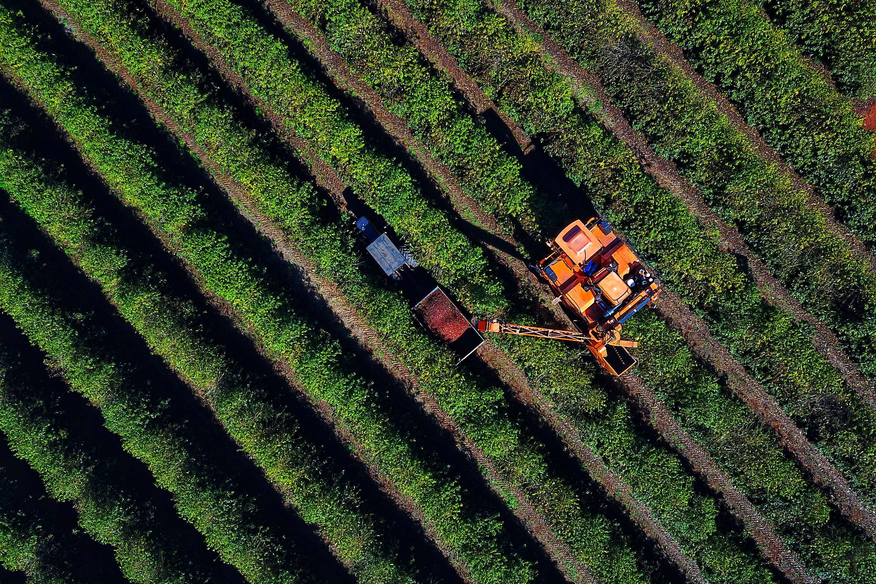 PSS do Instituto de Desenvolvimento Rural do Paraná tem 173 vagas disponíveis com salários entre R$ 4,4 e R$ 9,4 mil; veja como se inscrever