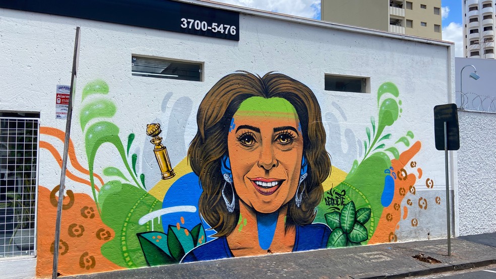 Mural da Fernanda Torres feito por Dequete, no Bairro Fundinho, em Uberlândia — Foto: Dequete