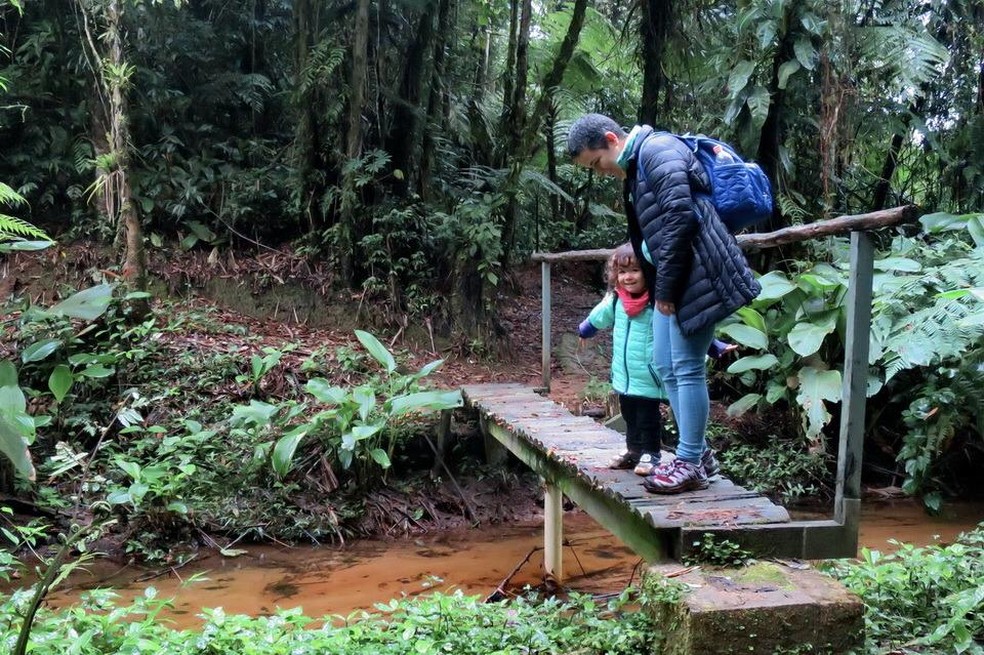 Maria já percorreu trilhas de floresta Atlântica e Amazônica — Foto: Juliana Diniz/ Arquivo Pessoal
