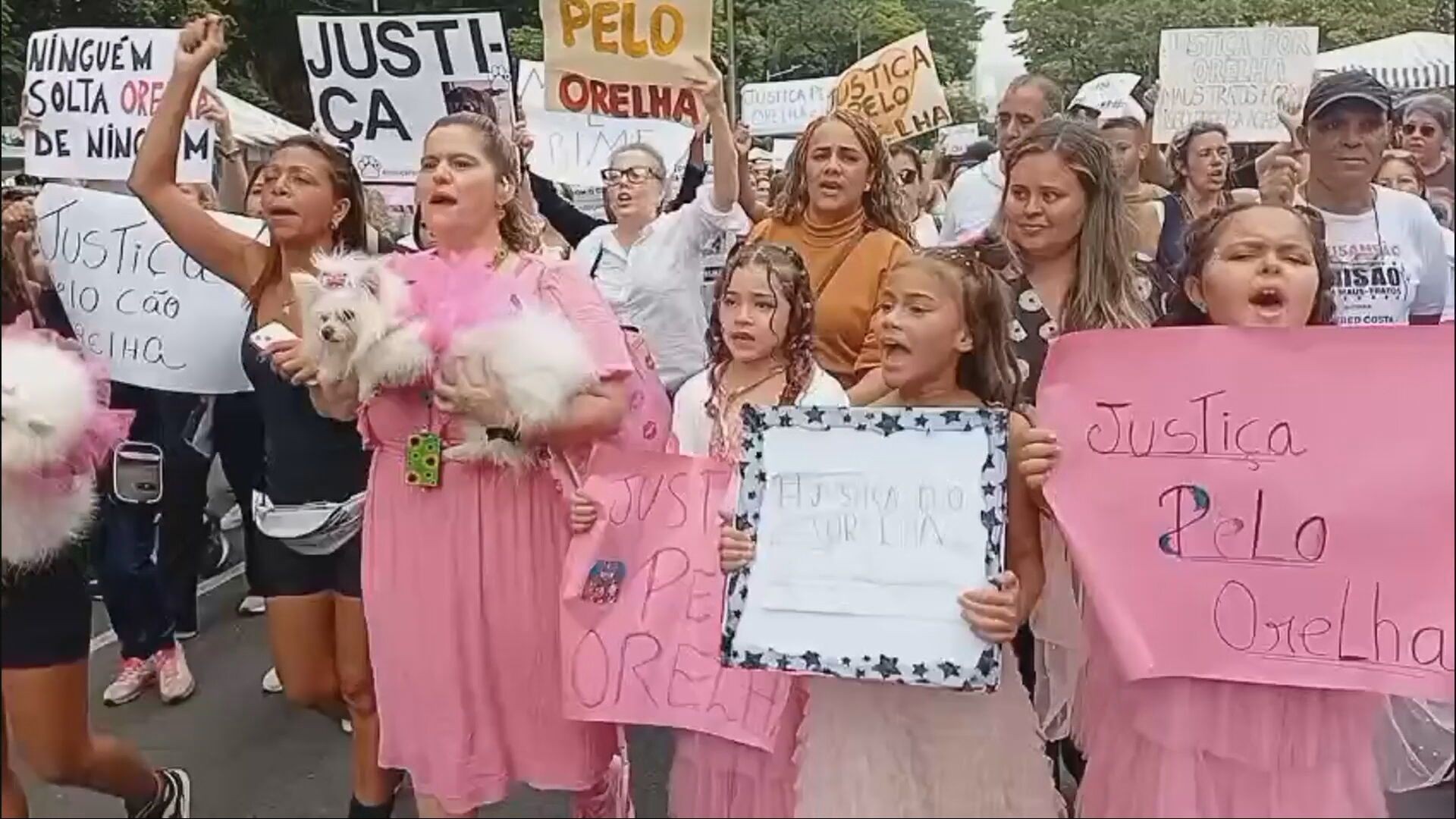 Ato que pede Justiça pelo cão Orelha leva manifestantes para Feira Hippie, em BH