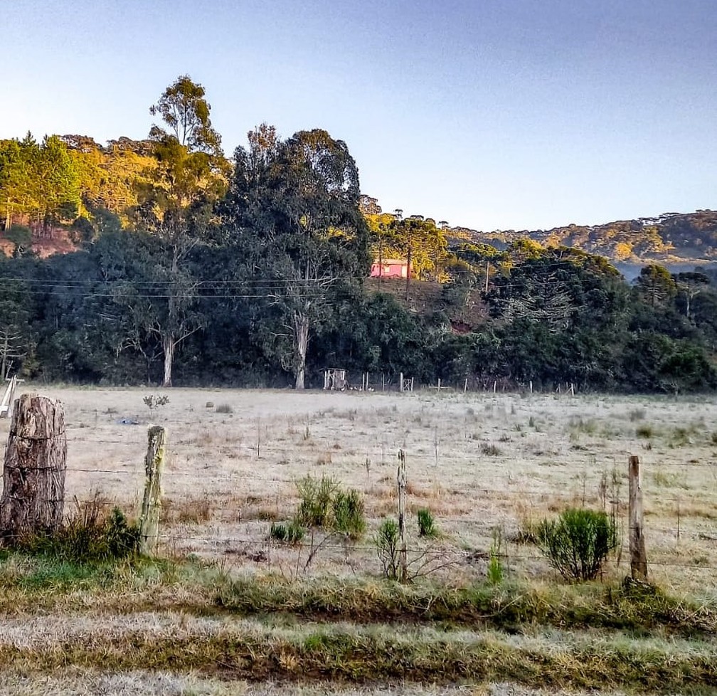 Bom Jardim da Serra, na Serra de Santa Catarina, com geada em 6 de julho de 2023 — Foto: Sérgio Felipe Rodrigues/Arquivo Pessoal