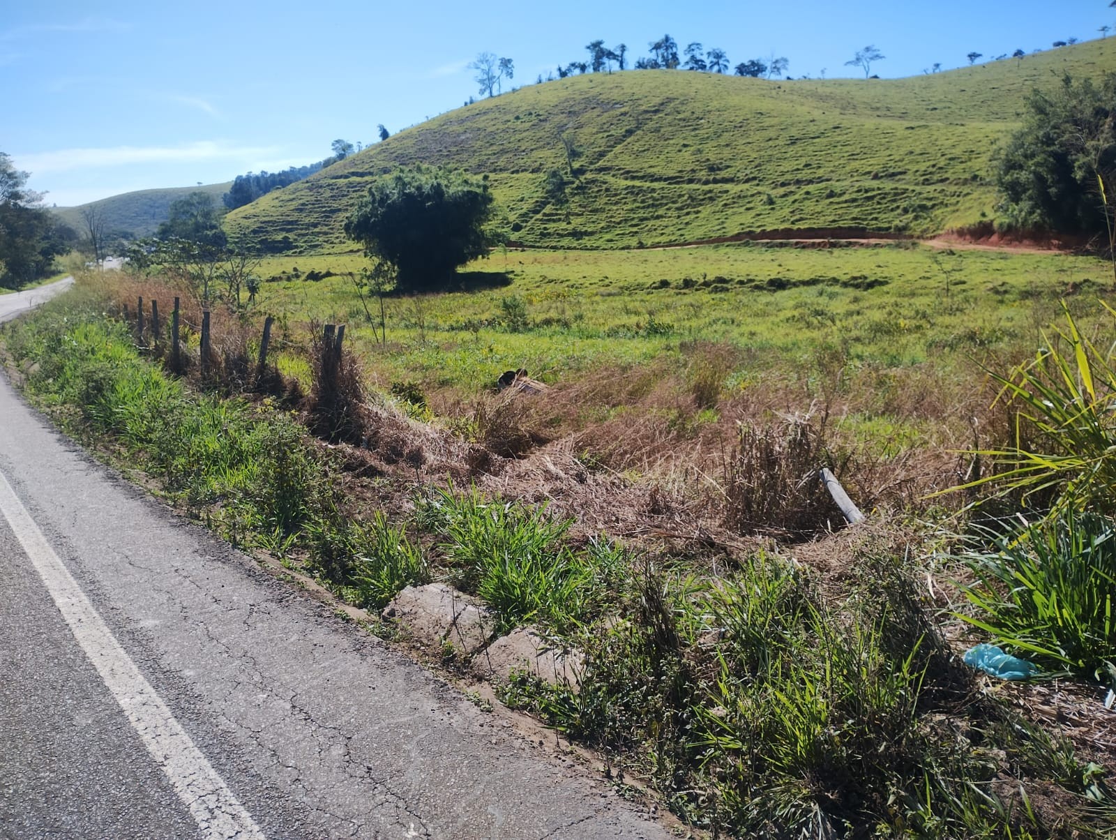 Motorista capota carro e morre na MG-133
